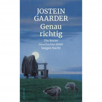 Jostein Gaarder Genau Richtig: Die Kurze Geschichte Einer Langen Nacht