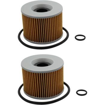 Kawasaki KZ1000 Oil Filter