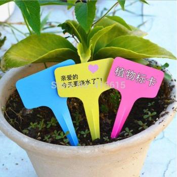 Gartenetiketten Kunststoff Grau 50er Set