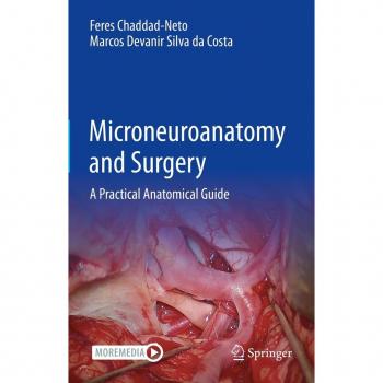 Microneuroanatomy and Surgery