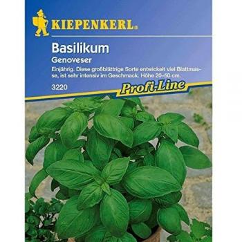 Kiepenkerl Basilikum „Breitblättrig“ – 1 Portion