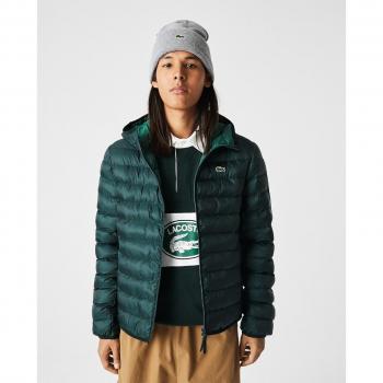 Chaqueta acolchada con capucha verde Lacoste