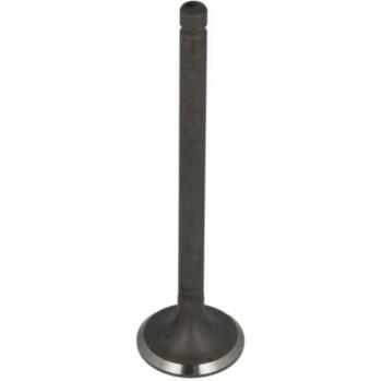 FRECCIA R6612/RNT Auslassventil