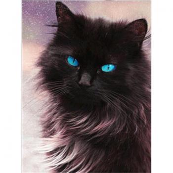 DIY Diamant Stickerei Katzenbild