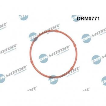 Dr. Motor Oil Pump Gasket DRM0771