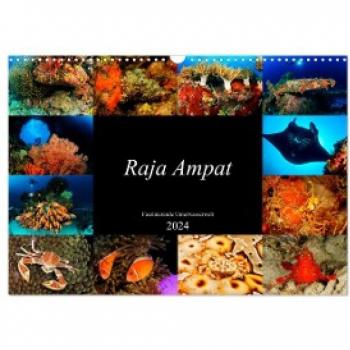 Raja Ampat - Faszinierende Unterwasserwelt (Wandkalender 2024 DIN A3 quer) CALVENDO Monatskalender