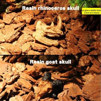 Skeleton Head Ornament for Terrariums