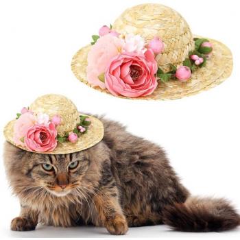Pet Fiesta Sombrero Hat