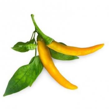 Semina Giallo ClickGrow – Peperoncino Verde