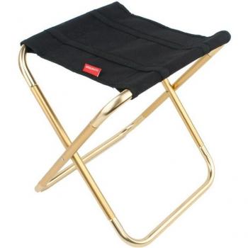 Silla Plegable para Barbacoa y Pesca