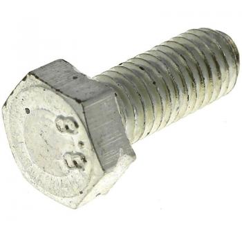 Lima Troncante: vite M8 x 20 (Ryobi)