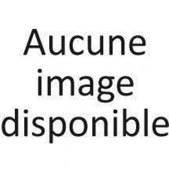 Brosse de Toilette Boule