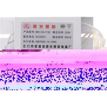 32W Circular Tube Fluorescent Light with Electronic Ballast