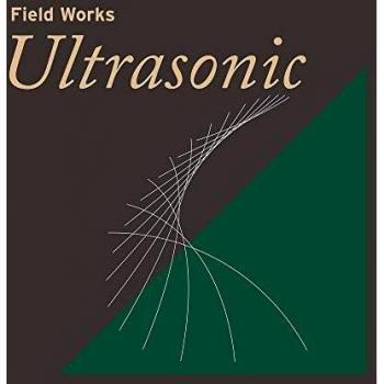 Ultrasonic