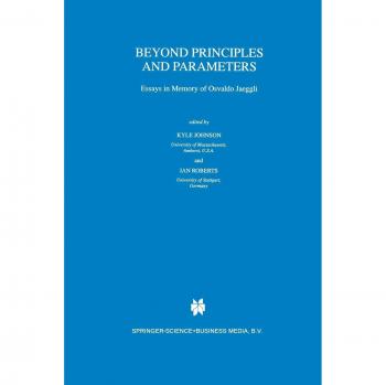 Beyond Principles and Parameters
