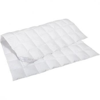 Rid Selection Leichte Daunendecke Silber