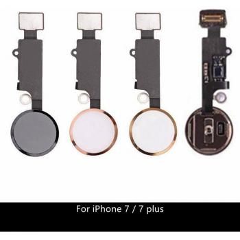 Cable flexible de botón de inicio para iPhone 7 (4.7)
