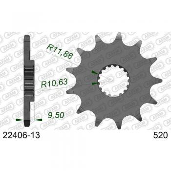Piñón para cadena de moto AFAM 22406-13