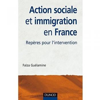 Faïza Guélamine Action Sociale Et Immigration En France : Repères Pour L'Intervention