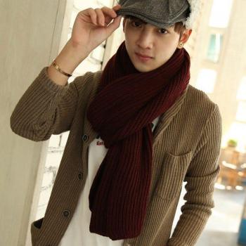Men's Solid Color Winter Scarves in Black, Navy, Grey
