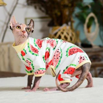 Sphynx Cat Cartoon Jumpsuit