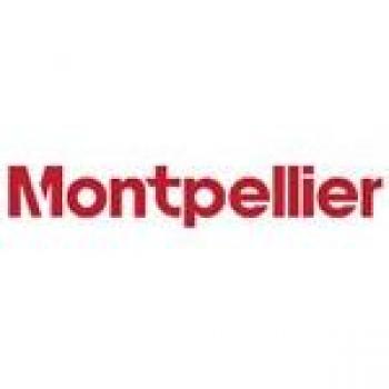 Montpellier MIFF5051F 54cm Wide Frost Free Fridge Freezer - White