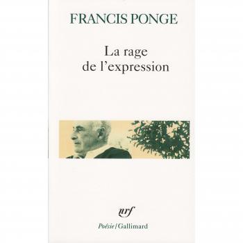 La rage de l'expression (Collection Pobesie)