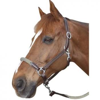 Lederhalfter Canter