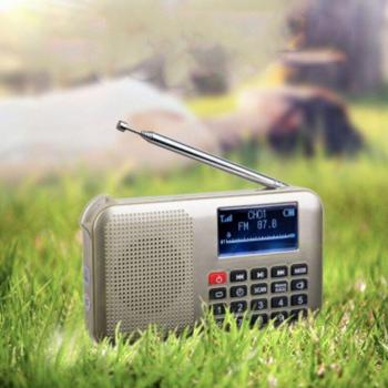 Solar Sound Mini Speaker with LED Emergency Light - Gold