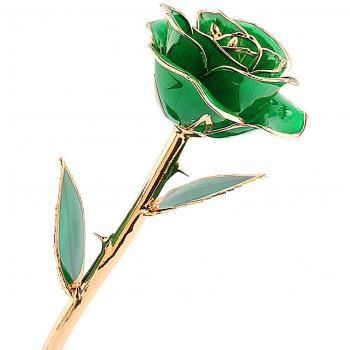 Zjchao Love Forever 24k vergoldet Echt Rosen-Geschenk der Liebe (weiß)