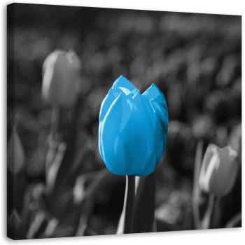 Nature's Blue Tulip Art