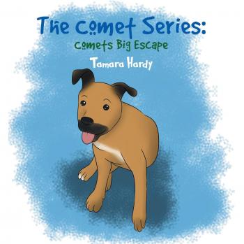 The Comet Series: Comet's Big Escape