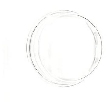 Verre de hublot pour machine à laver Thomson 55X3049