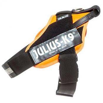 Imbracatura da Allenamento UV Arancio L 1 (66‑85 cm) – Julius K9 IDC