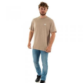 Camiseta Dickies Summerdale color arena