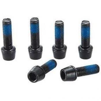 Set di 6 viti torx in acciaio Ritchey WCS Toyon