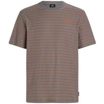 O'Neill T-Shirt a maniche corte Yarn Stripe greige