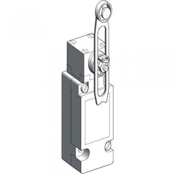 IP66/IP67 Roller Lever Switch (Model XCKJ110541)