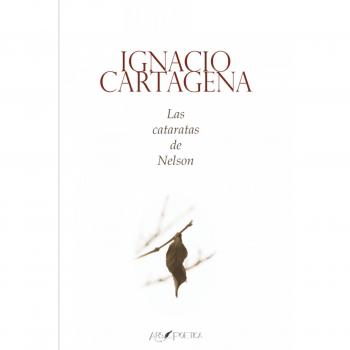 Las cataratas de nelson