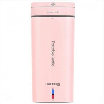 Bouteille chauffante portable ThermoSmart 500 ml