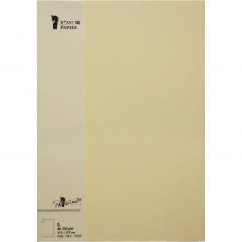 Karton A4 220g/qm VE=5 Blatt Melon