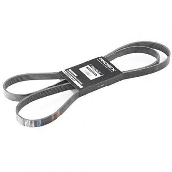 RIDEX Courroie Poly-V pour VW, MERCEDES-BENZ, FORD 305P0119