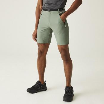 Regatta xert iii pantalón corto montaña hombre Verde (M)