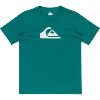 Bleu Juvénile Quiksilver Logotype