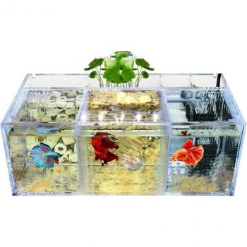 Mini Betta Fish Aquarium