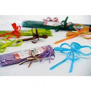Borsa 50 ml Svelto Easy Basic Turquoise 140 mm Bolis