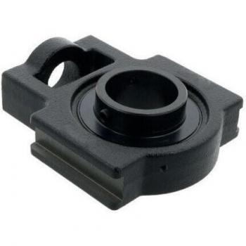 UCT313 D1 65mm Boîtier de Serrage NTN