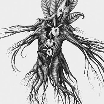 IV Mandragora