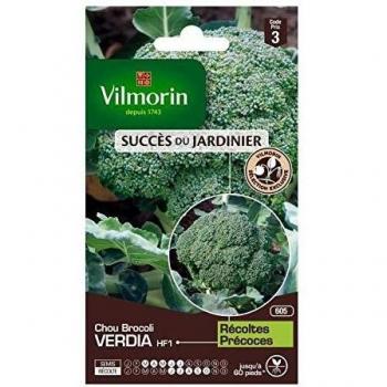 Chou Brocoli Verdia Vilmorin