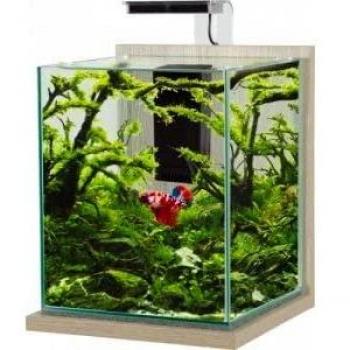 ACQUARIO IN KIT ZOLUX JALAYA